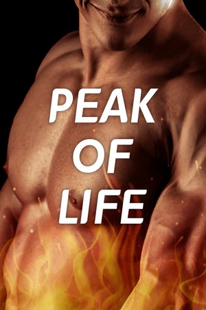 Cover of Peak of Life
