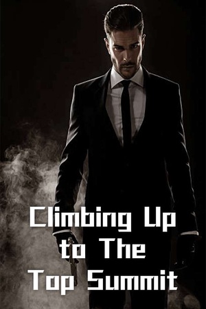 Cover of Climbing Up to The Top Summit