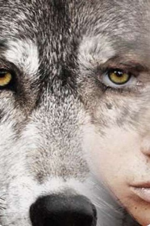 Cover of I'm Not Just a Human