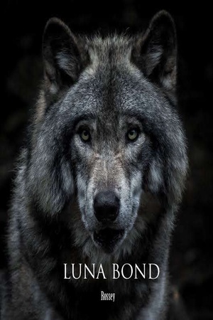 Cover of Luna bond