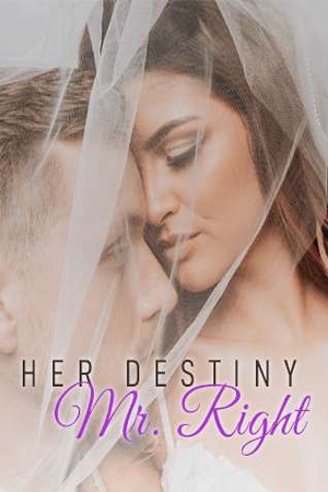 Cover of Her Destiny Mr. Right